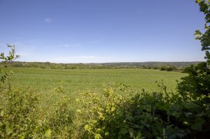 _bellway the green low burnall woods 3.jpg